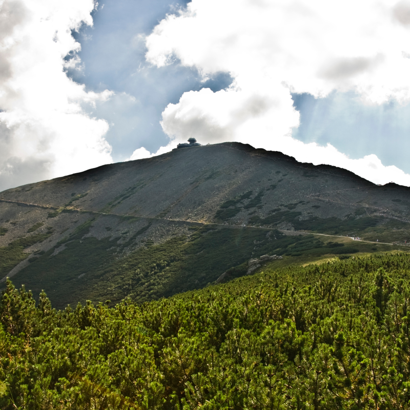 Obrázek epizody Genius loci: posekáno a teď vzhůru do světa!