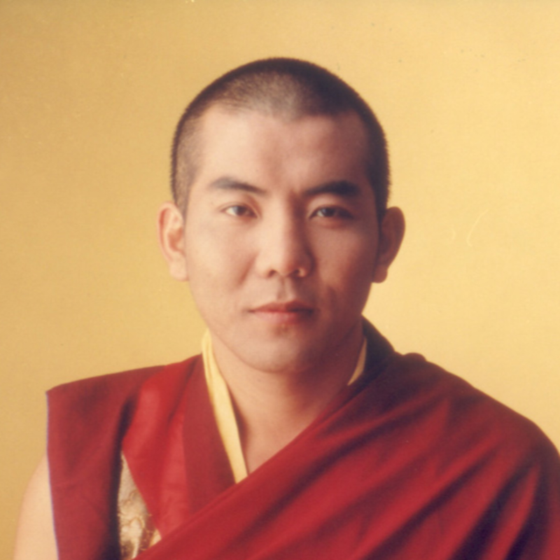 Obrázek epizody Lze dosáhnout štěstí a zbavit se utrpení, nebo je to předem prohraná bitva? - 3. Jamgon Kongtrul