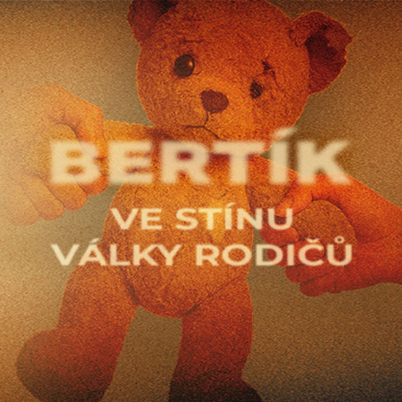 Obrázek epizody Už nemám sílu, říká matka. Bertíkův případ zůstává neobjasněný