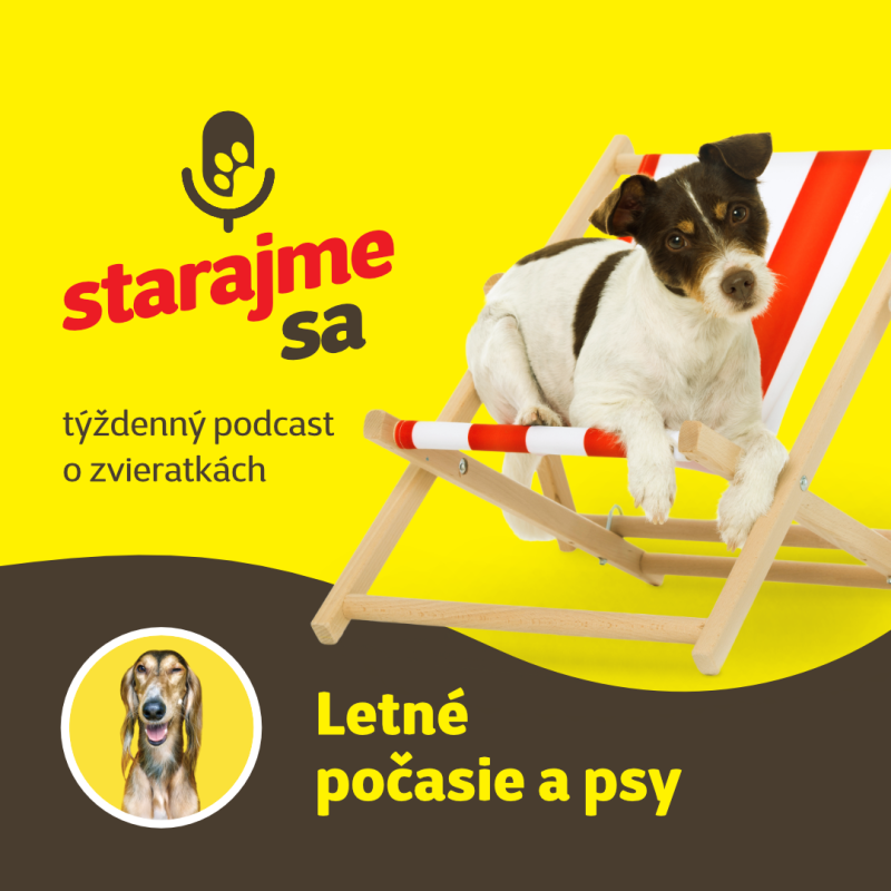 Obrázek epizody Psy: Letné počasie a psy
