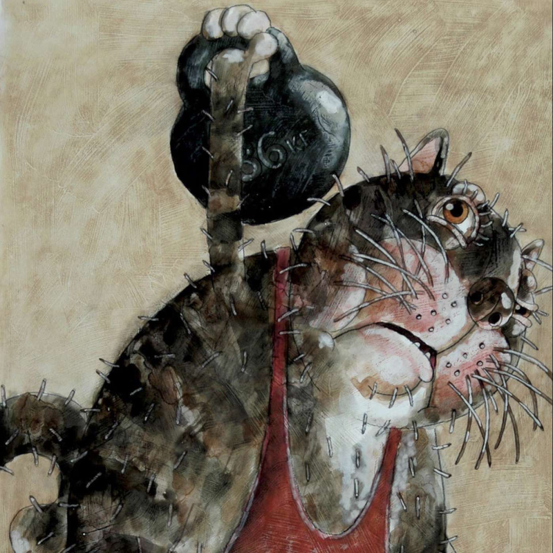 Obrázek epizody Posilka doma i v gymu: Co, kolik, jak často, jak přidávat atd. atd.