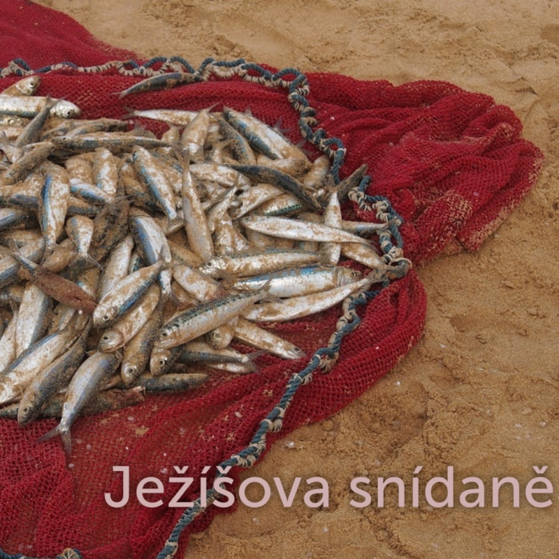 Obrázek epizody Ježíšová snídaně - Aleš Cichy (10.3.2019)