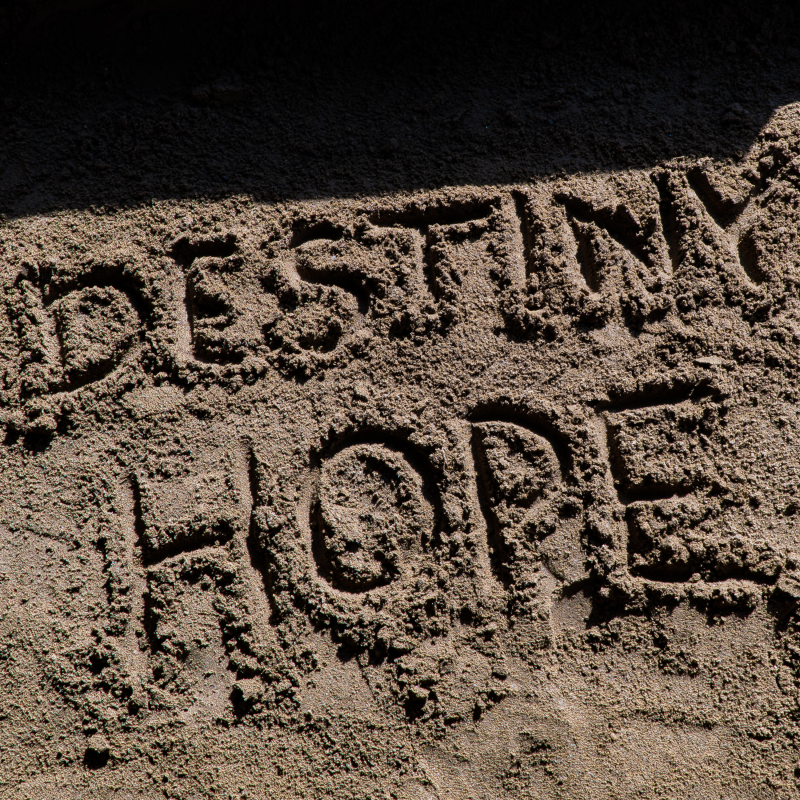 Obrázek epizody Miley Cyrus - Flowers