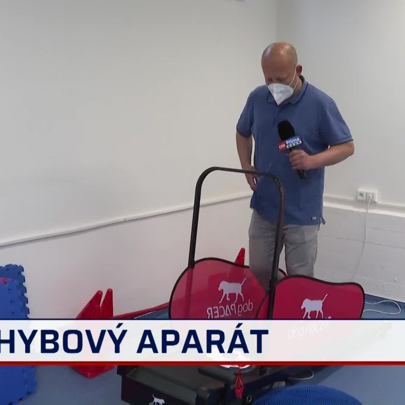 Obrázek epizody Psí fyzioterapie (zdroj: CNN Prima NEWS)