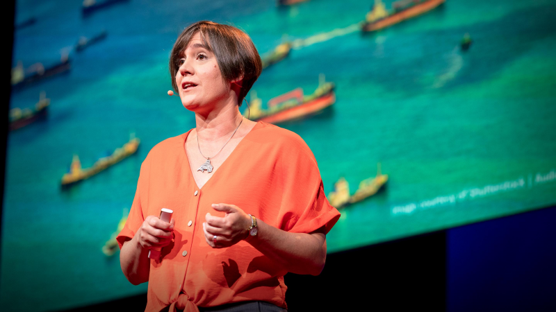 Obrázek epizody The dangers of a noisy ocean -- and how we can quiet it down | Nicola Jones