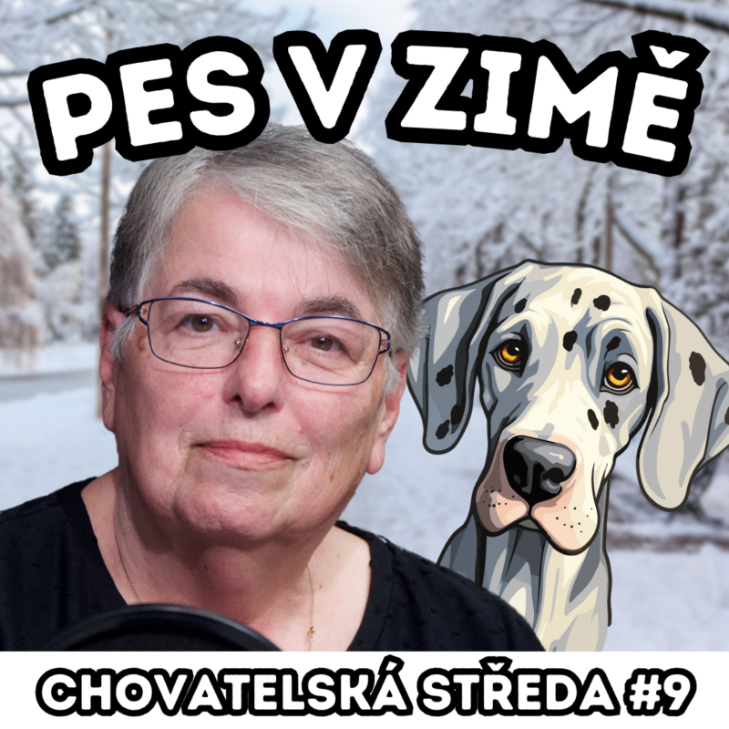 Obrázek epizody 🐶 PES v ZIMĚ 🐶 | Chovatelská středa #9