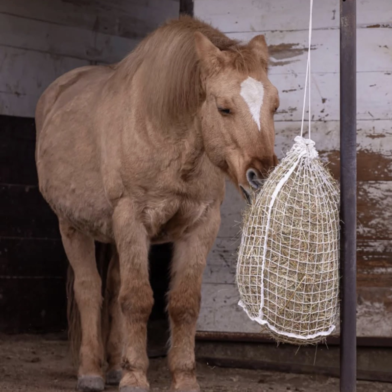 Obrázek epizody Jana Murin - Slowfeeding sítě na seno