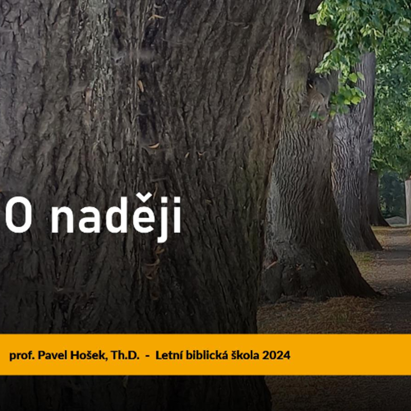 Obrázek epizody O naději - Pavel Hošek