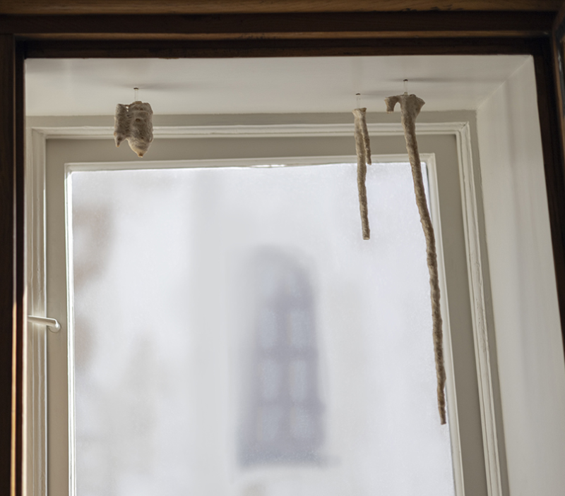 Obrázek epizody Oči dokorán pre Degrowth