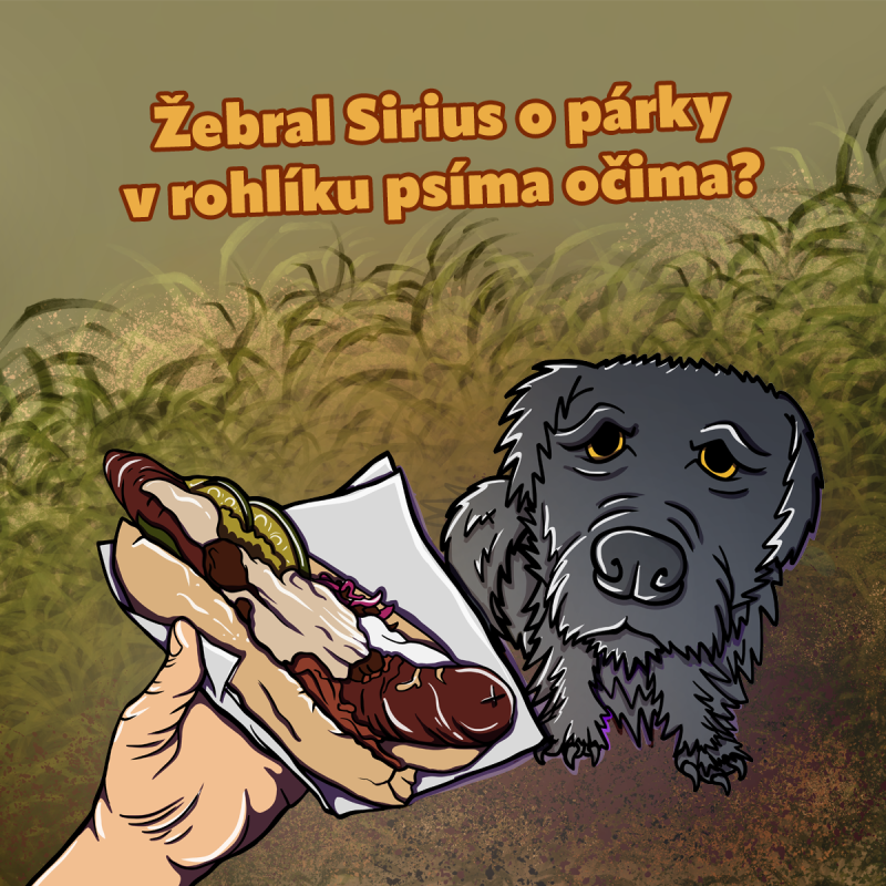 Obrázek epizody Žebral Sirius o párky v rohlíku psíma očima? (S4E15-1)