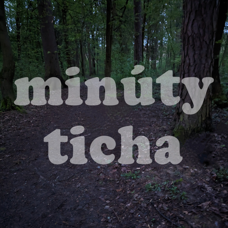 Obrázek epizody Medzinárodný deň ranného spevu vtáctva 2023