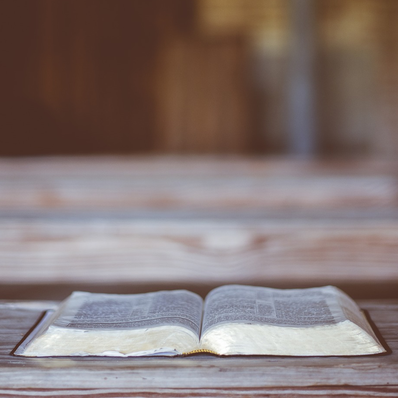 Obrázek epizody 9. Úvod do Bible: Proroci