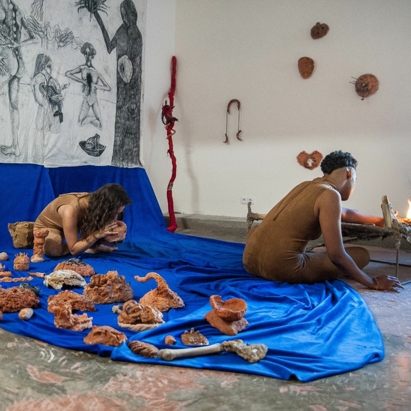 Obrázek epizody Galerie OFF/FORMAT: Myceliem (Anežka Abrtová & Eva Jaroňová)