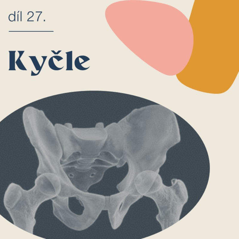 Obrázek epizody # 27 Kyčle