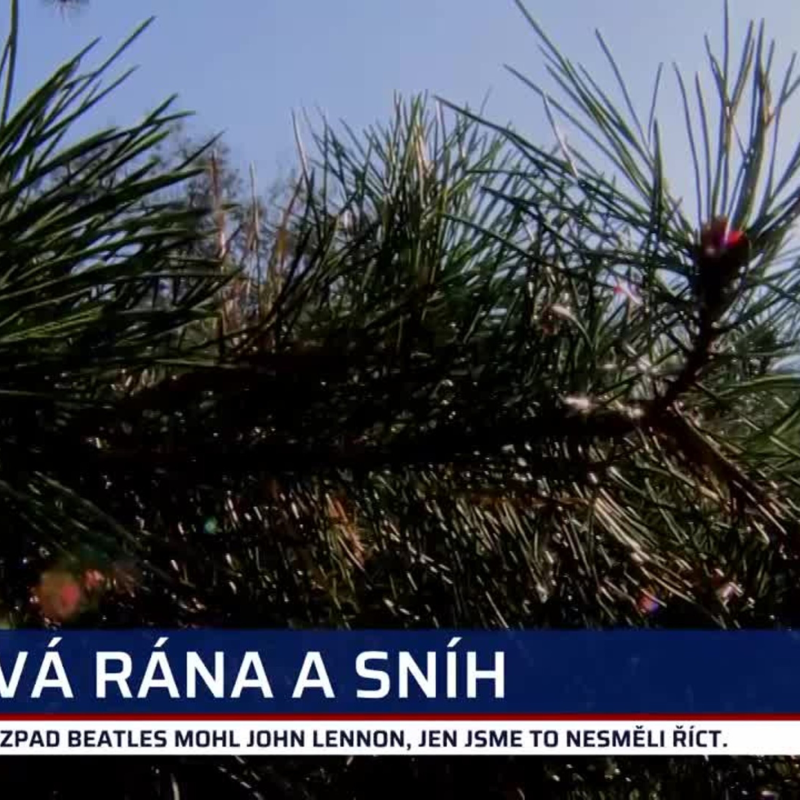 Obrázek epizody Zprávy z regionů 11.10.2021