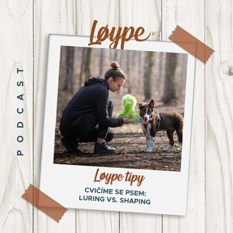 Obrázek epizody 35 | Cvičíme se psem: Luring vs. shaping | Løype tipy