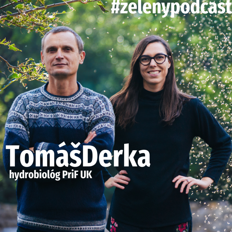 Obrázek epizody Komáre: symbol zdravého vodného ekosystému