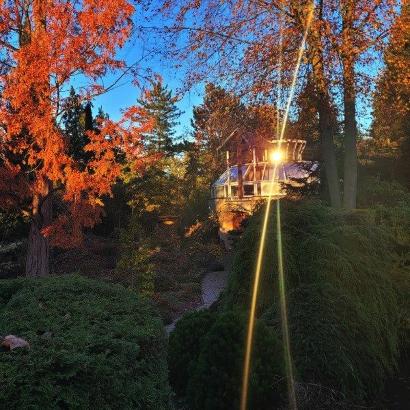 Obrázek epizody Herodovské fake news (Meditační zahrada)