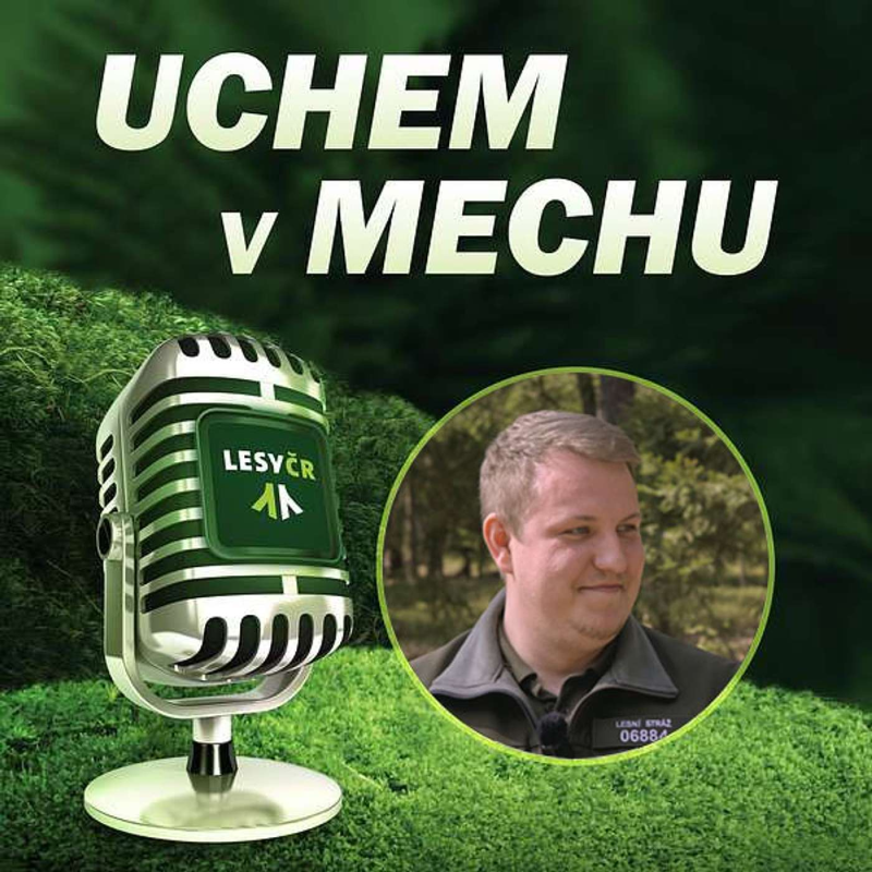 Obrázek epizody O lesní stráži s Danielem Weissem