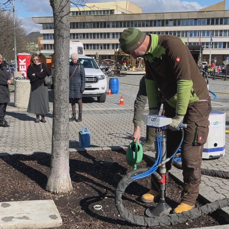 Obrázek epizody Stromořadí na mosteckém 1. náměstí dostalo posilující injekce.