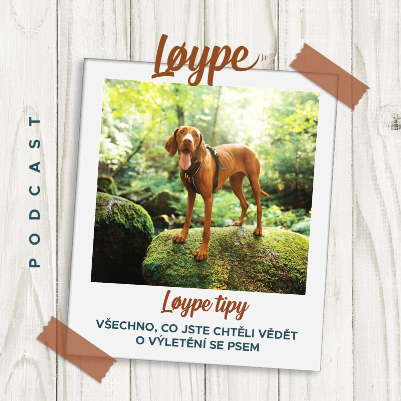 Obrázek epizody 24 | Všechno, co jste chtěli vědět o výletění se psem | Løype tipy