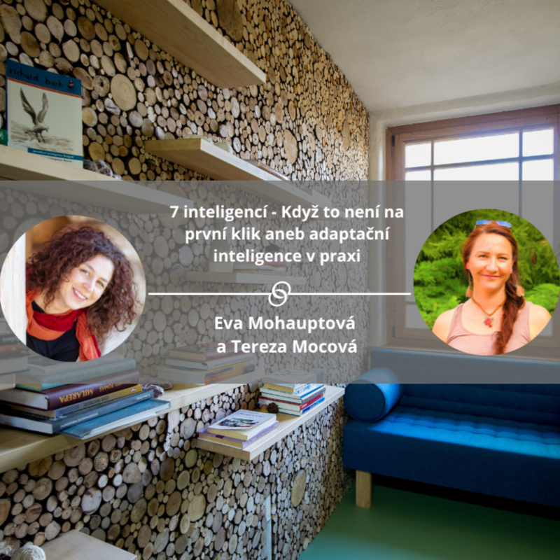 Obrázek epizody 7 inteligencí - Když to není na první klik aneb adaptační inteligence v praxi. #mojespokojenost