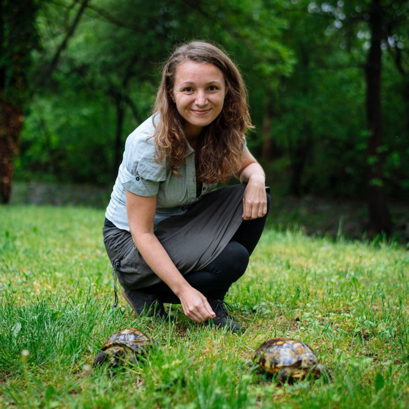 Obrázek epizody EŠUS (1.6.2020) [Hanka, želvy a cesty]