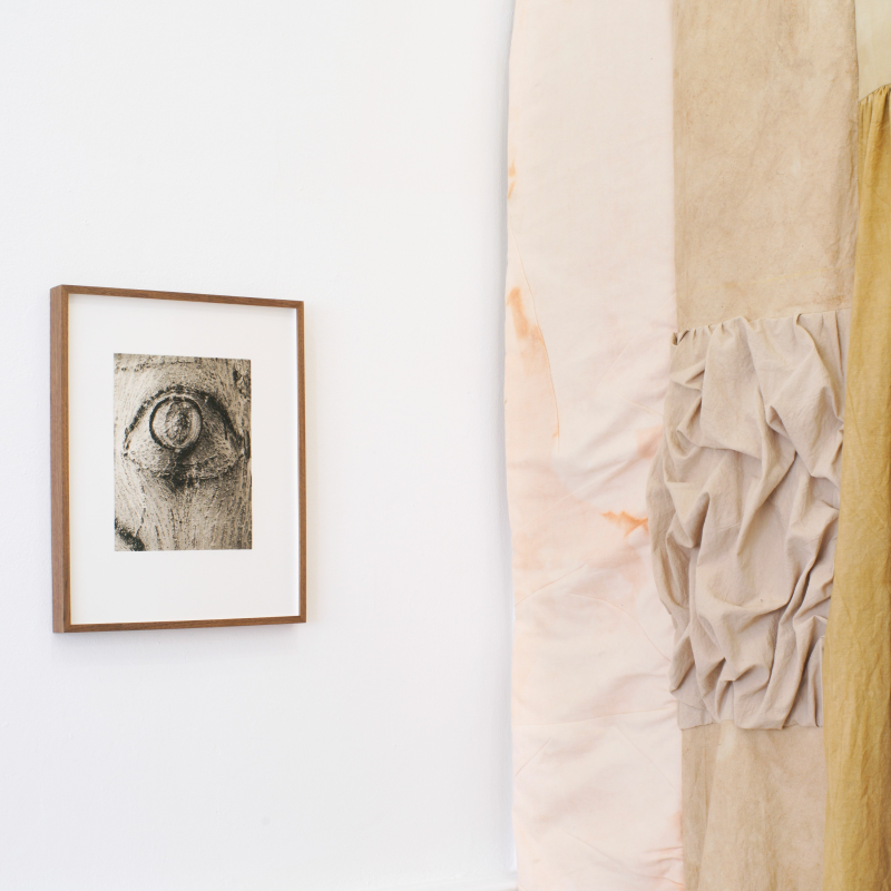 Obrázek epizody MeetFactory: Planted in the Body (Tereza Jindrová)