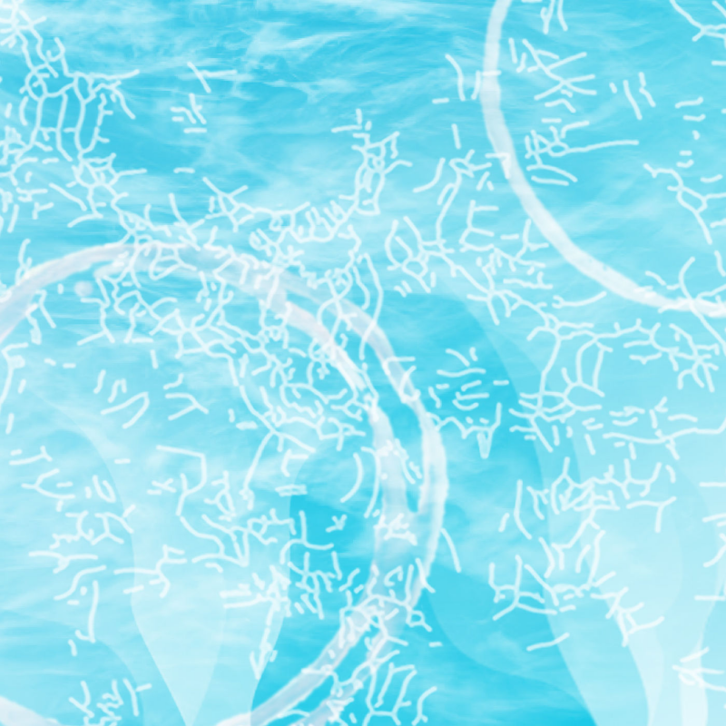 Obrázek epizody Kaminská, Konečná a Nosek představili ve Studiu Prám svou nejnovější tvorbu