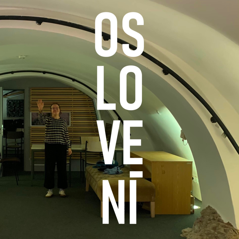 Obrázek epizody Jsme zpět stejně jako Fico na Slovensku