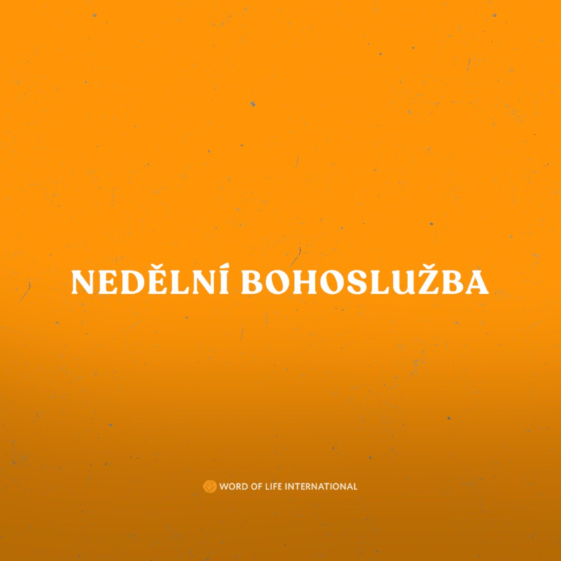 Obrázek epizody NAVZDORY UTRPENÍ / Janette Oubrechtová