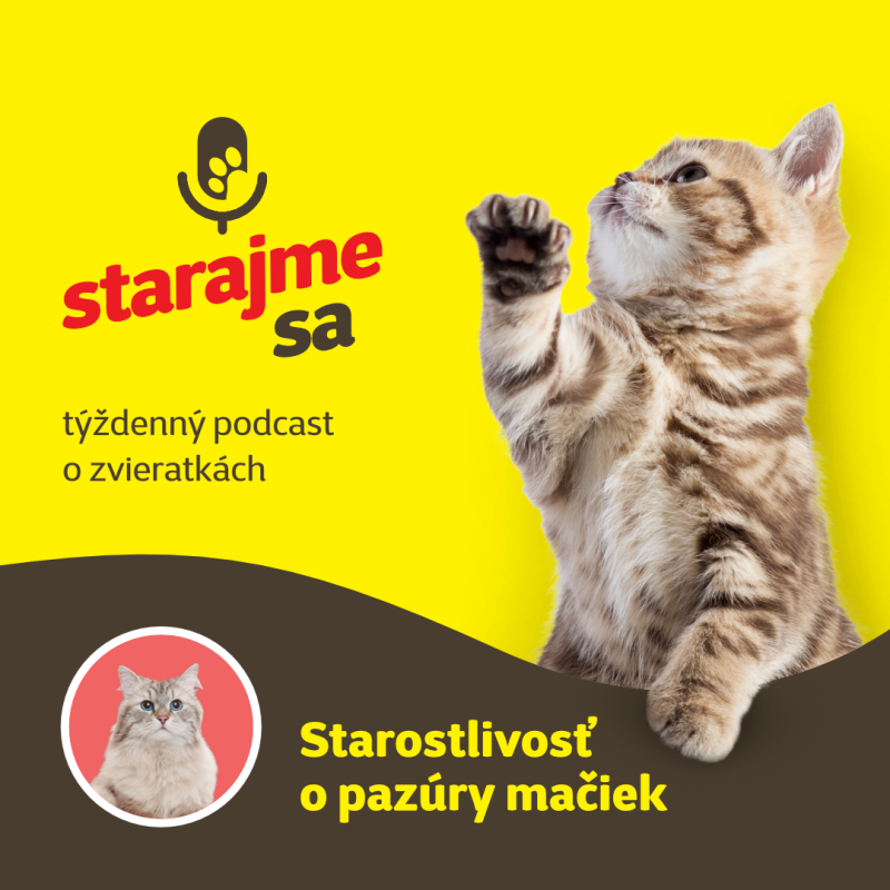 Obrázek epizody Mačky: Starostlivosť o pazúry mačiek