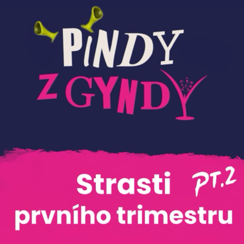 Obrázek epizody Strasti prvního trimestru pt.2