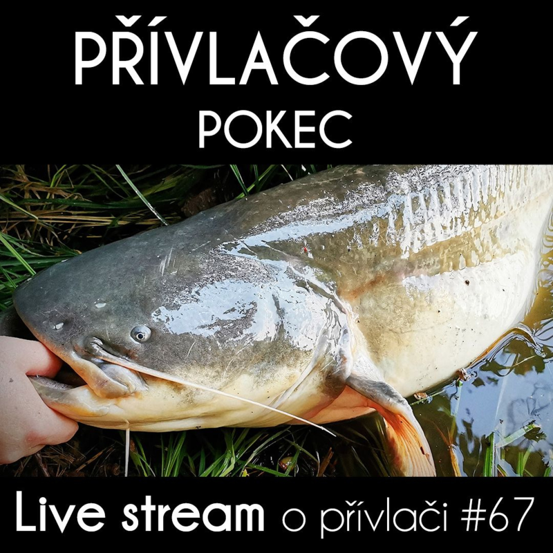 Obrázek epizody Přívlač live #67 - Přívlačový pokec & přívlačové novinky