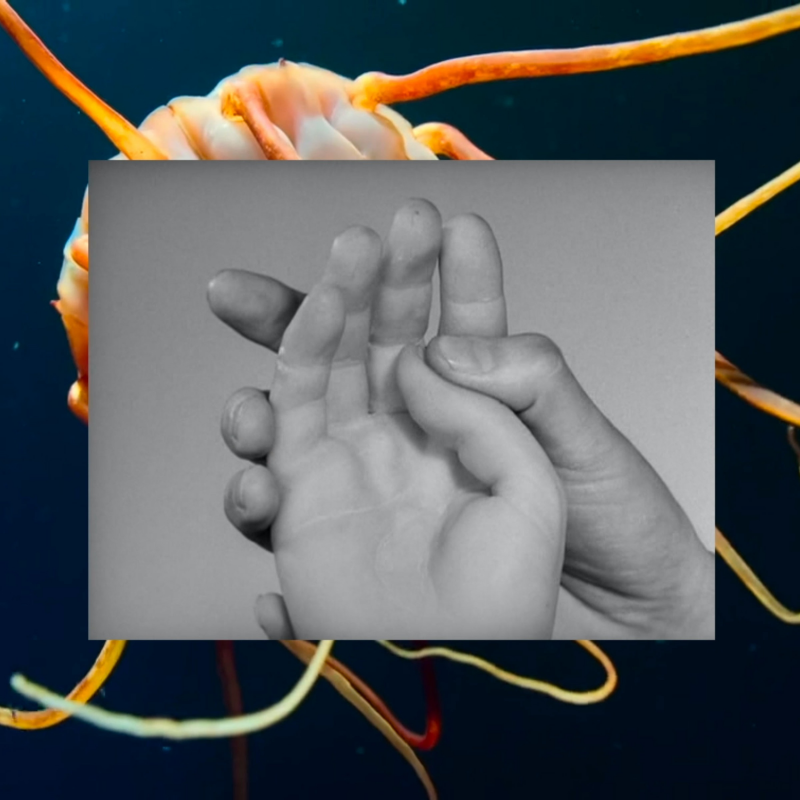 Obrázek epizody 1st episode – In the Tentacles of the Murmur (The literature of crisis): Merchants of Sadness