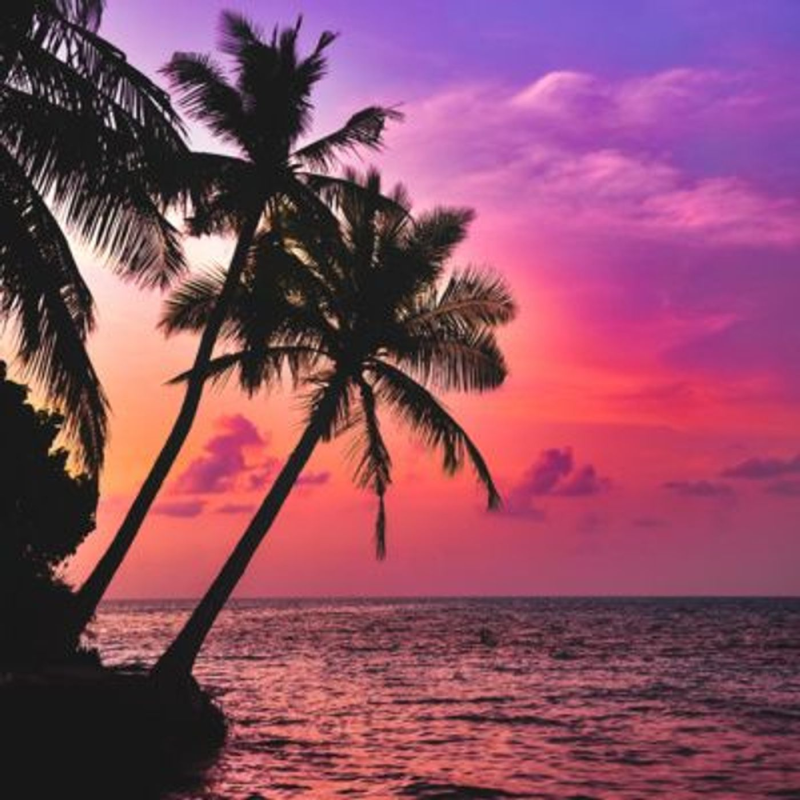 Obrázek epizody Tropical Dreams: Soundscape for Sleep & Relaxation