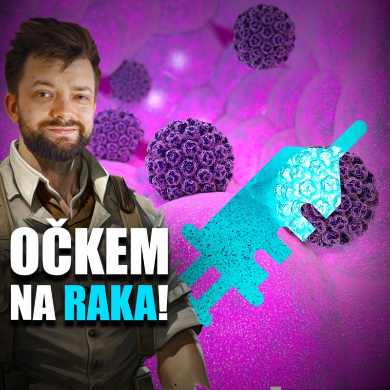 Obrázek epizody HPV očkování srazilo úmrtí na rakovinu čípku na nulu | Vědátornews
