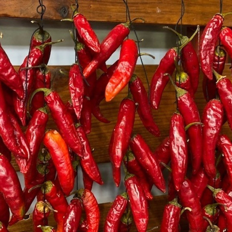 Obrázek epizody Ešus 30/8/2021: Jirka na Madeiře