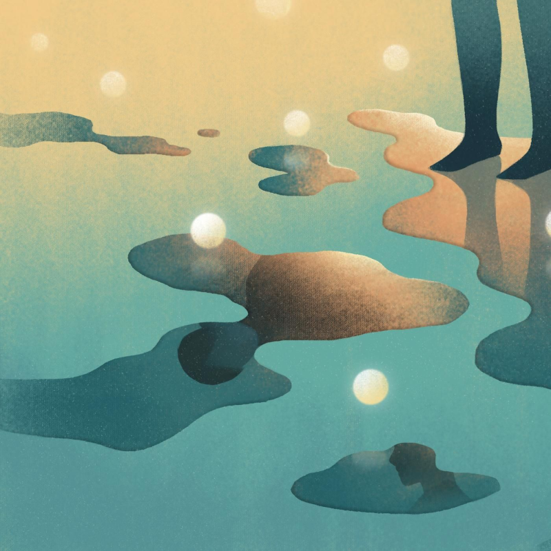 Obrázek epizody Gonads: Dana