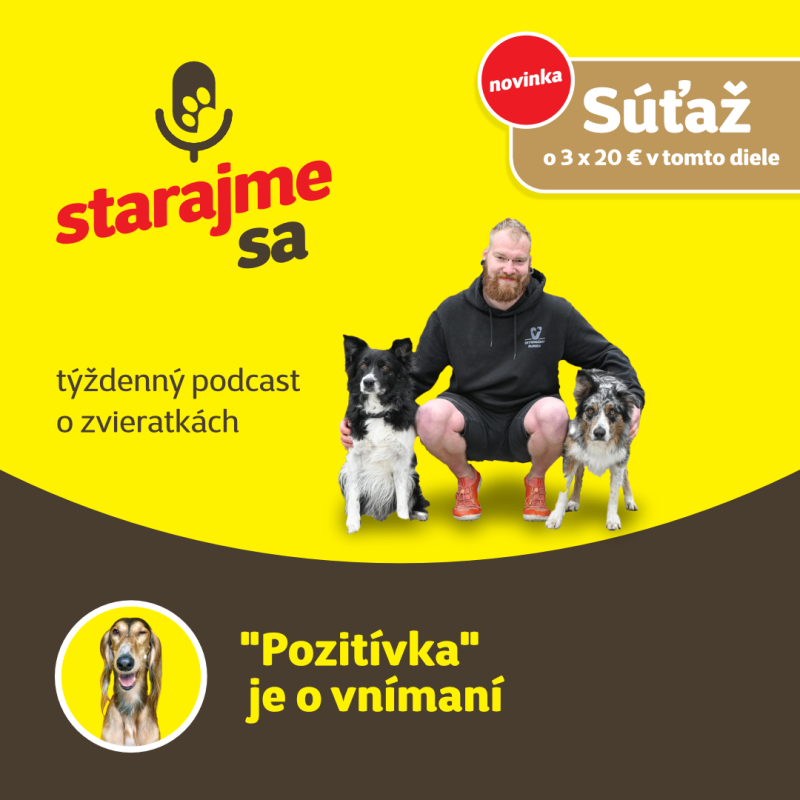 Obrázek epizody Psy: "Pozitívka" je o vnímaní