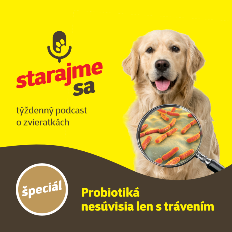 Obrázek epizody Špeciál: Probiotiká nesúvisia len s trávením