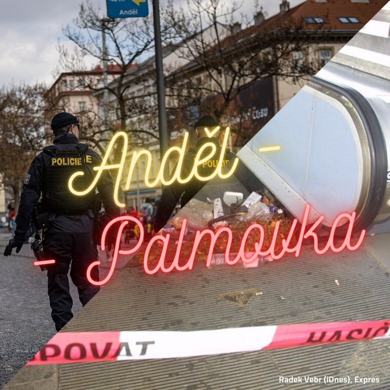 Obrázek epizody X/60. Anděl - Palmovka