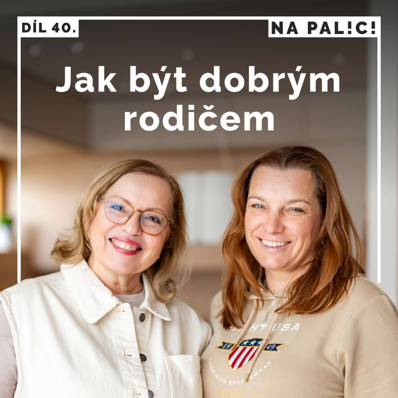 Obrázek epizody 40. díl - Jak být dobrým rodičem