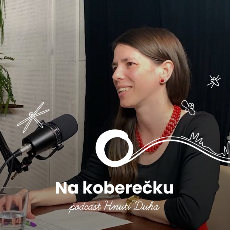 Obrázek epizody #38: Poučení z kůrovcové kalamity: Lesy v době klimatické krize