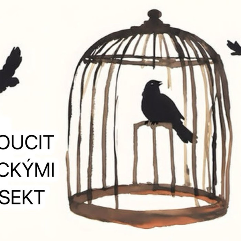 Obrázek epizody Kdo je tajemný Lumír z Allatry?