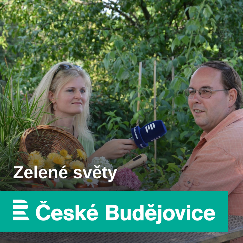 Obrázek epizody Zemčata, zampáky, kobzole a bobáky, to vůbec nejsou hanlivé výrazy, naopak