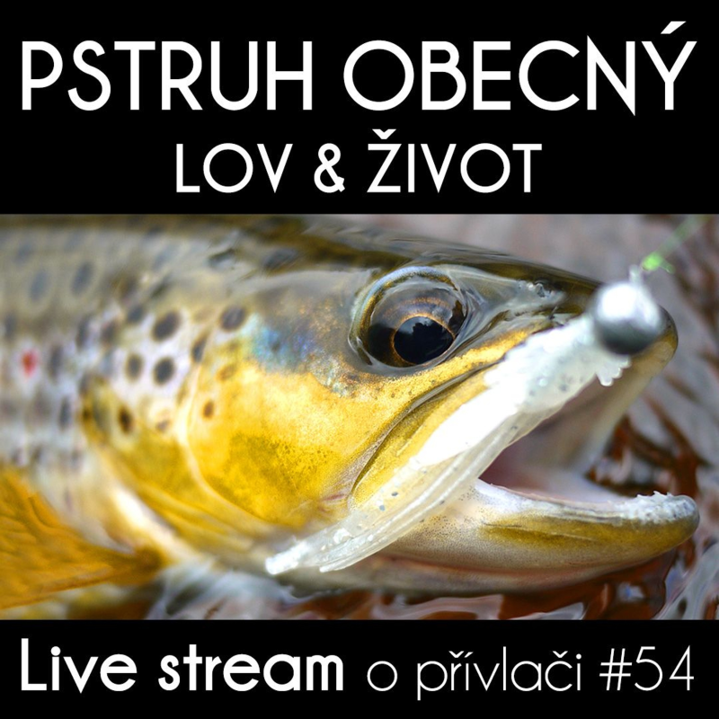 Obrázek epizody Přívlač live #54 - Pstruh Obecný - život a lov