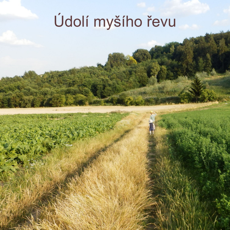 Obrázek epizody Karel Tomy Neumann a Nina Neumannová | Údolí myšího řevu | kapitola 1. Zvědové