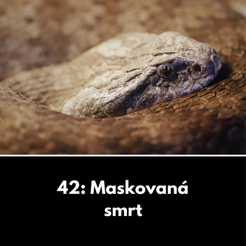 Obrázek epizody 42: Maskovaná smrt