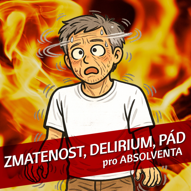 Obrázek epizody Zmatenost, delirium a pád